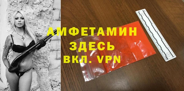 ПСИЛОЦИБИНОВЫЕ ГРИБЫ Алзамай