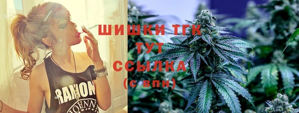 ПСИЛОЦИБИНОВЫЕ ГРИБЫ Алзамай