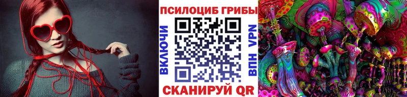 где найти   Красноуральск  Псилоцибиновые грибы ЛСД 